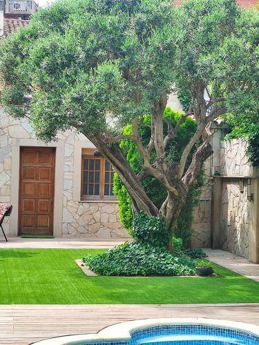 El Prat de Llobregat Bed & Breakfast | 28 m² Bed and breakfast ∙ 1 bedroom ∙ 2 guests