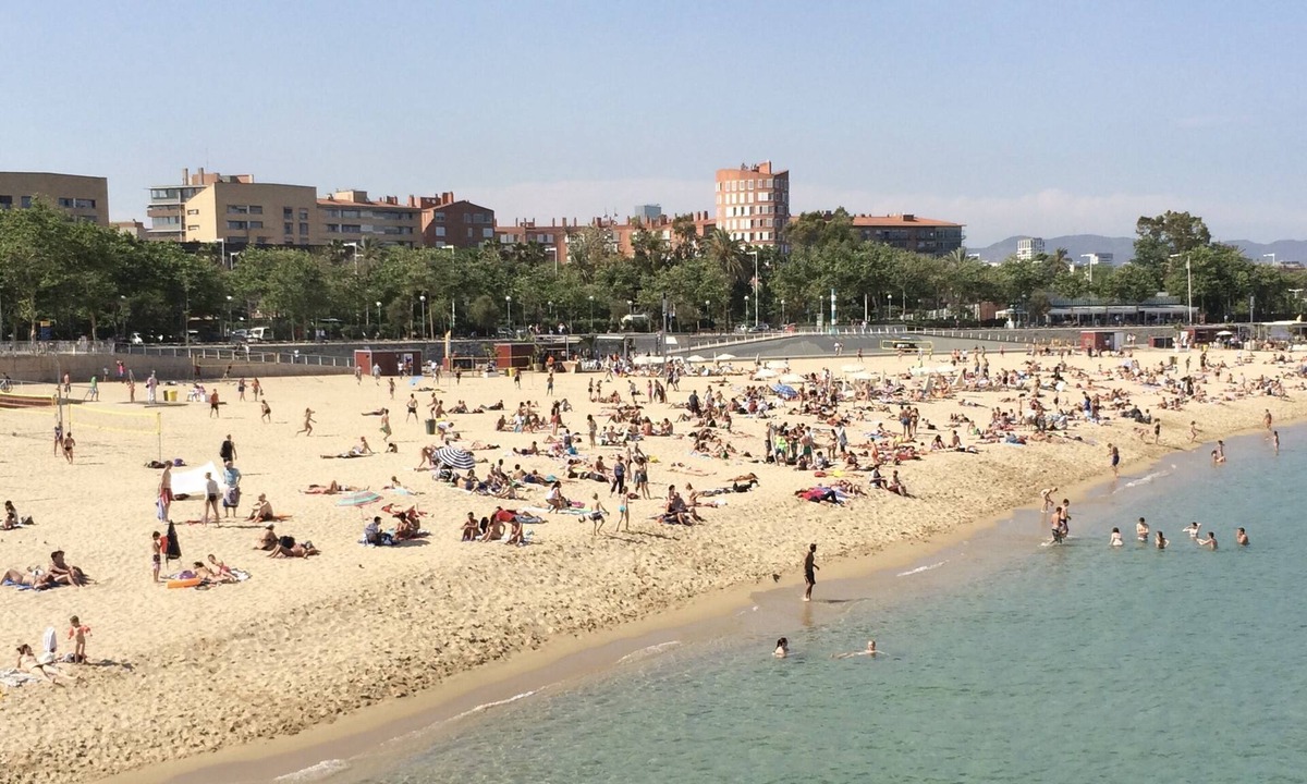 La Vila Olimpica del Poblenou Apartment | Beautiful apartment in Barcelona beach