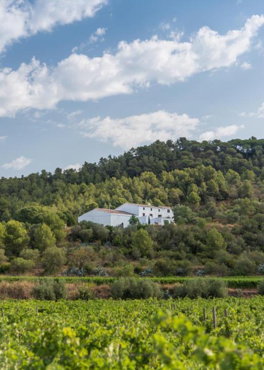 Canaletes House | Maset de la Costa
