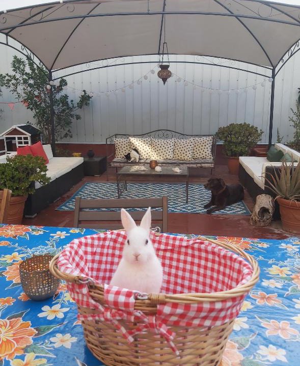 Sants House | Small room in Sants with huge terrace