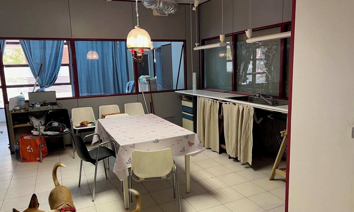 Sabadell Apartment | Tessas apartments, Sabadell 3