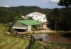 Luxurious Cottage in Sant Salvador de Guardiola