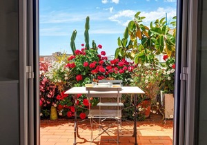 Secret Garden Apartment