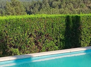 Cottage Sant Salvador Guardiola | Sant Salvador de Guardiola