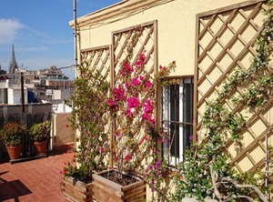 Barcelona | La Ribera