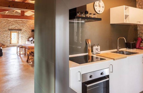 Sant Pere de Torello Apartment | 80 m² Apartment ∙ 1 bedroom ∙ 4 guests