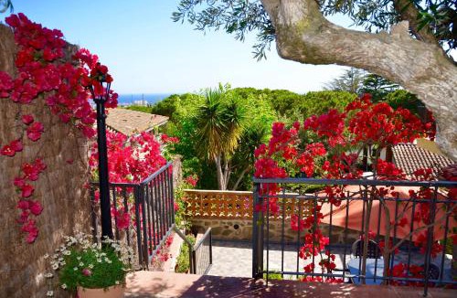 Cabrils Apartment | ARTS HOUSE - Cabrils, Maresme, Barcelona