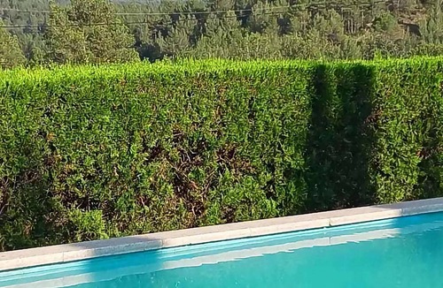 Sant Salvador de Guardiola Cottage | Belvilla by OYO Mas Set Rengs 2