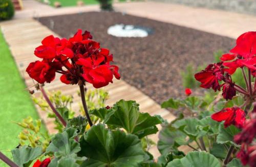 Piera Bed & Breakfast | Casa Salud