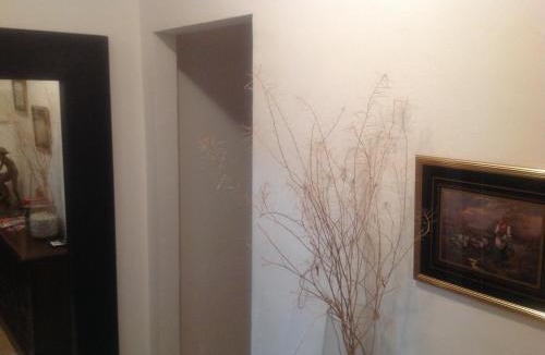Rubi Bed & Breakfast | Habitaciones Baobab