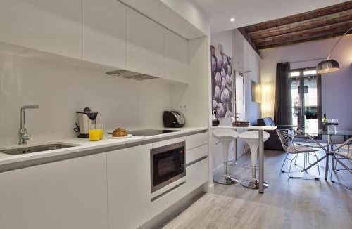 Hostafrancs Apartment | Habitat Apartments ADN