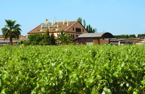 Subirats Hotel | Hotel Restaurant Sol i Vi