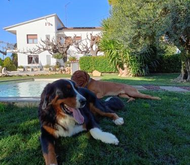 San Martin Sarroca House | Masia Cal Tonarro