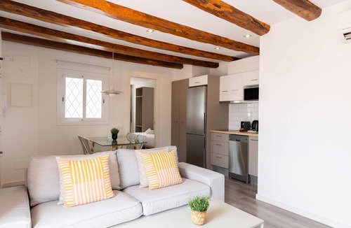 Hostafrancs Apartment | Penthouse Apartment with terrace