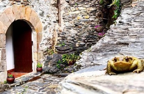 Fogars de Montclus Cottage | Self catering El Moli del Montseny for 7 people
