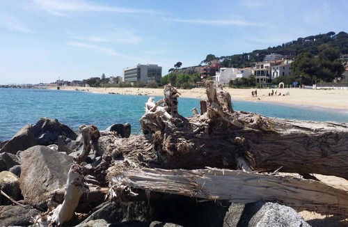 Caldes d'Estrac Apartment | Stunning Apartment at Beach