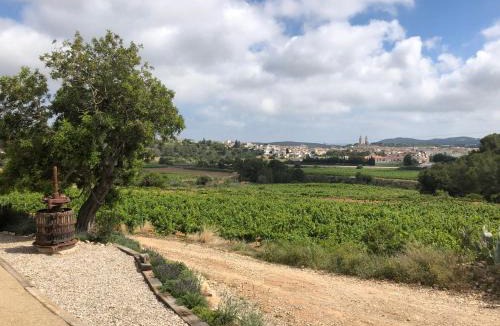 Sant Pere de Ribes Villa | Villa Masia Capdet