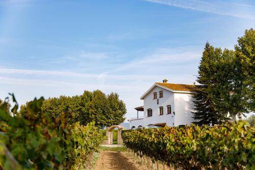 El Pla del Penedes Villa | 350 m² Villa ∙ 6 bedrooms ∙ 12 guests