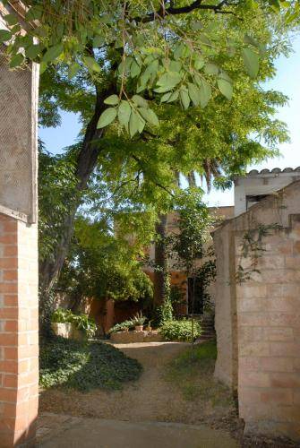 Photo of Others in El Pla del Penedes