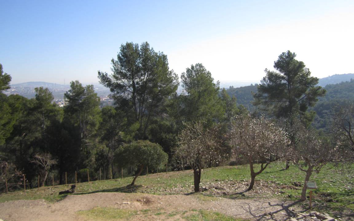 Photo of Others in Marianao
