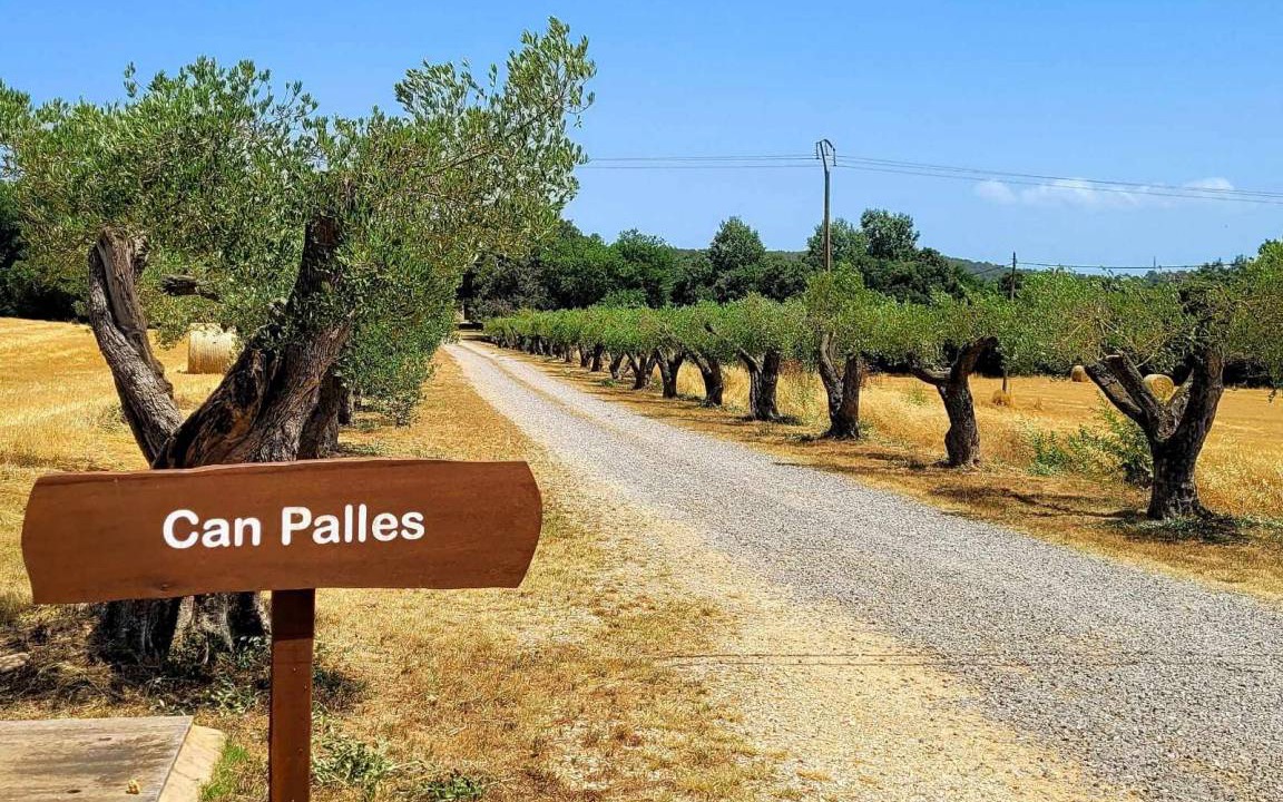 Photo of Others in Queixas