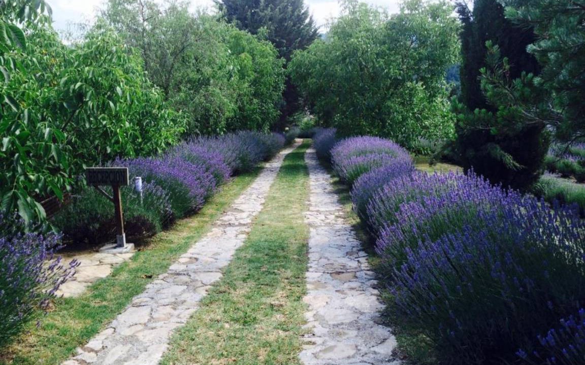 Photo of Outdoor in Castelltercol
