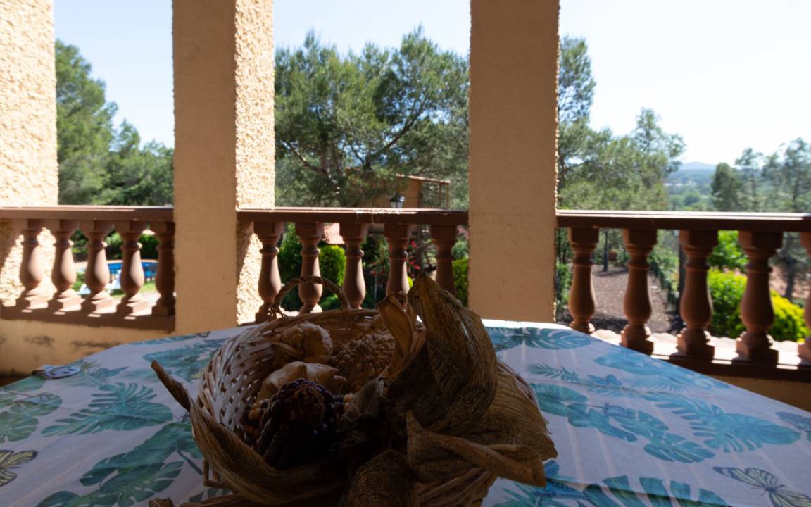 Photo of Patio Balcony in Vacarisses