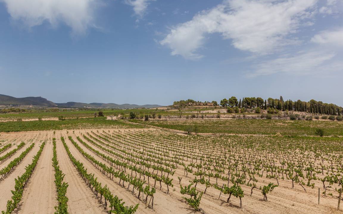 Photo of Others in Castellet i la Gornal