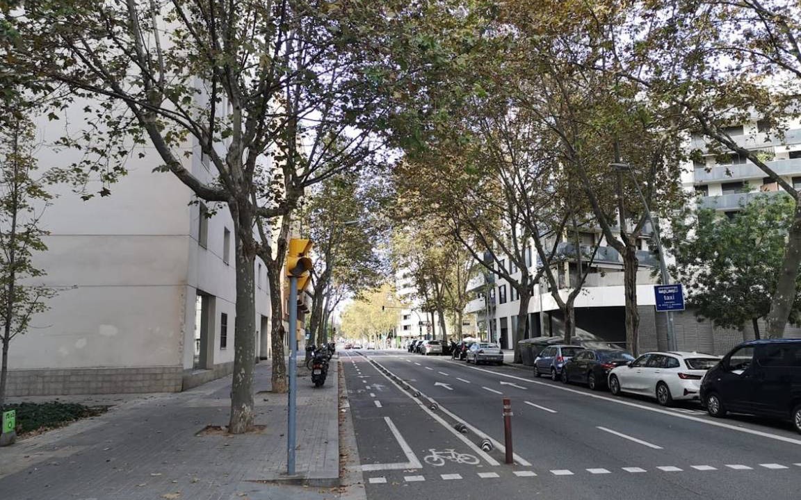 Photo of Others in Poblenou