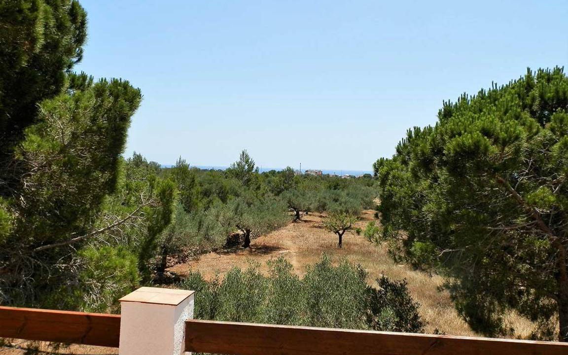 Photo of Others in Costa Dorada