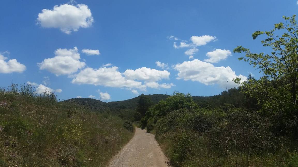 Photo of Others in Olesa de Bonesvalls