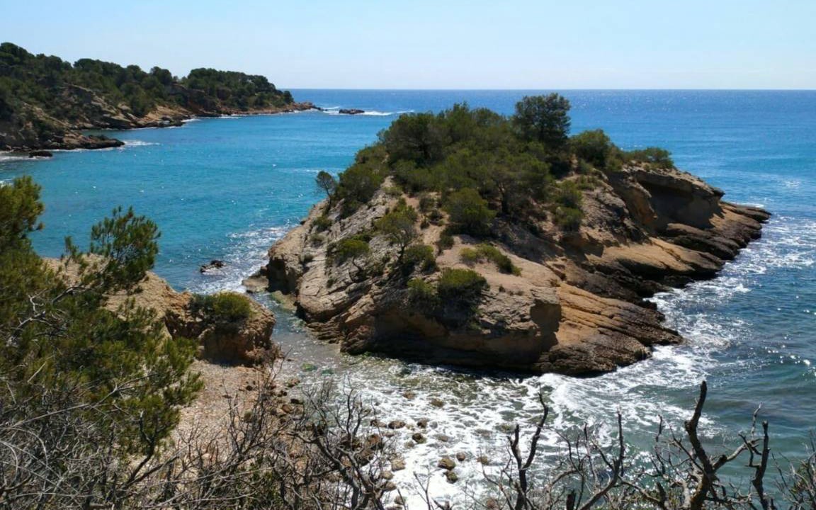 Photo of Others in L Almadrava
