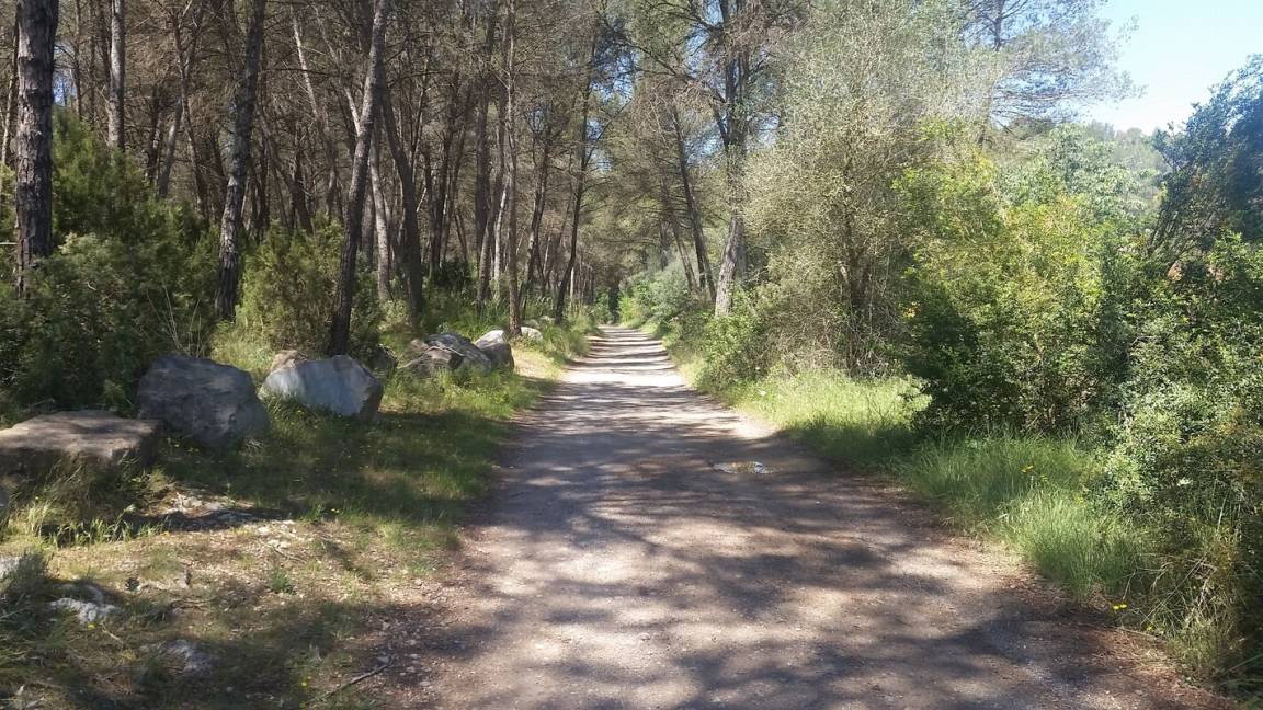 Photo of Others in Olesa de Bonesvalls