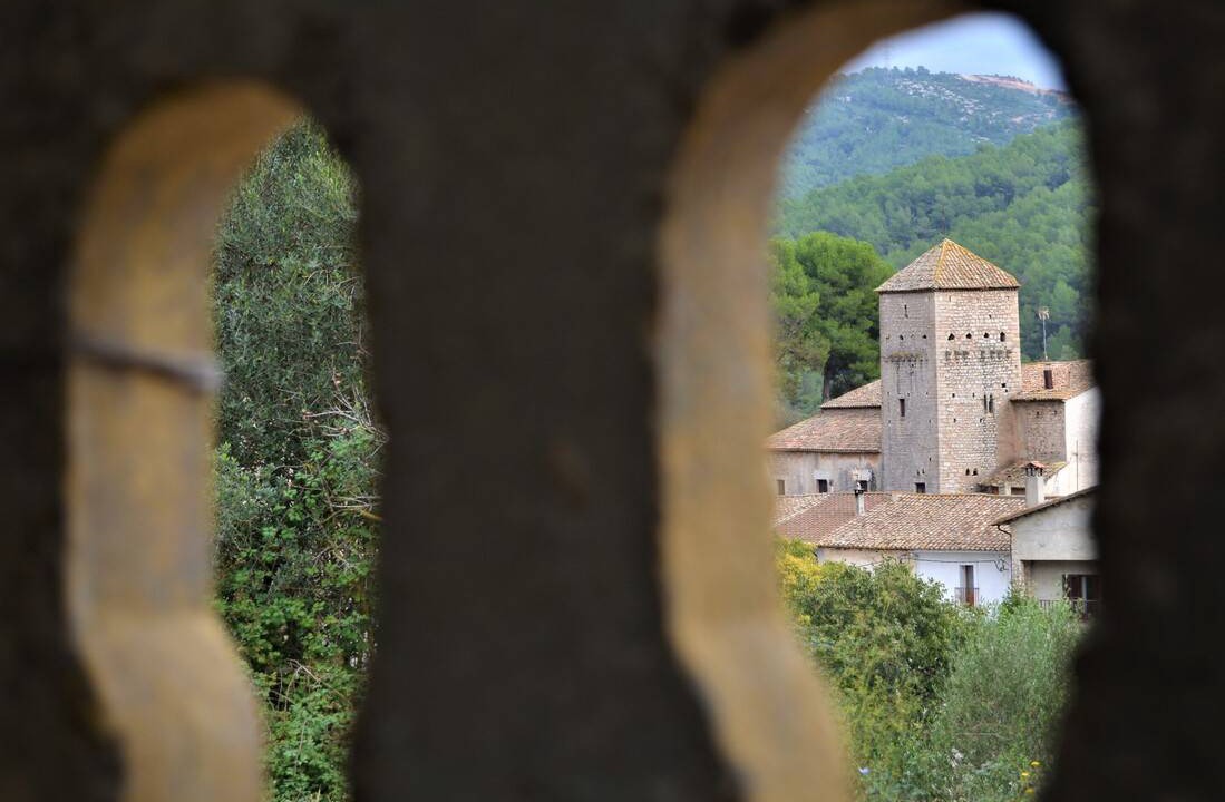 Photo of Others in Olesa de Bonesvalls