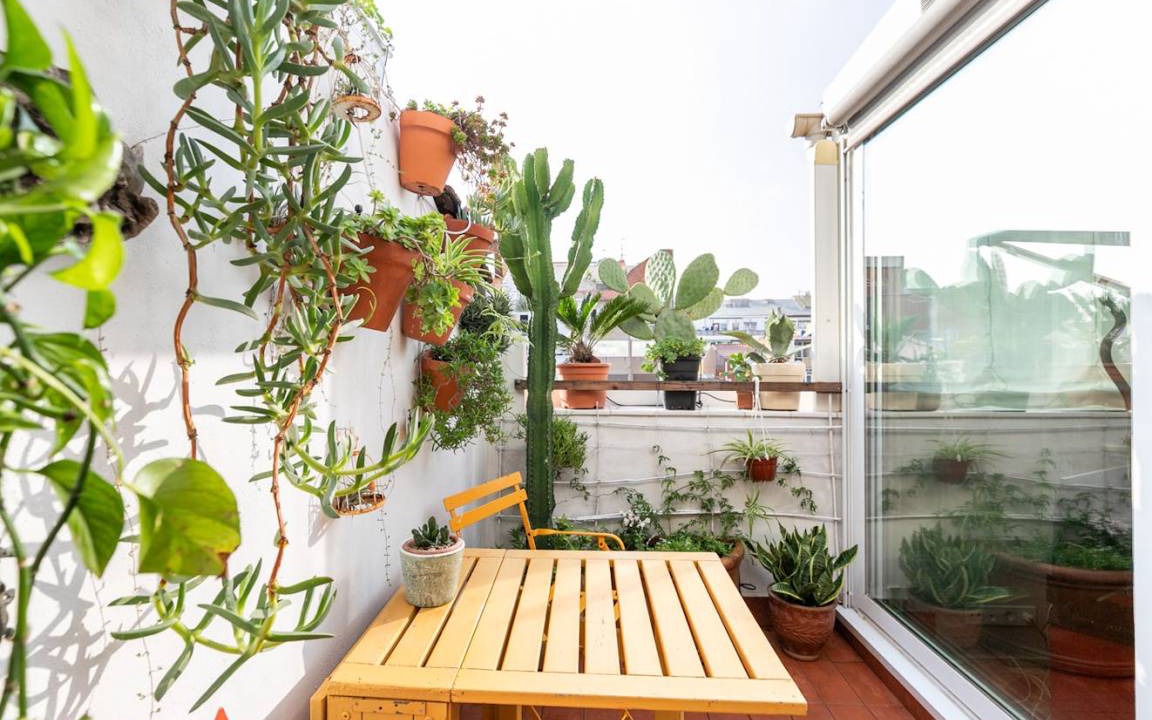 Photo of Patio Balcony in Hostafrancs