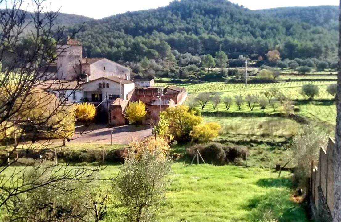 Photo of Others in Olesa de Bonesvalls