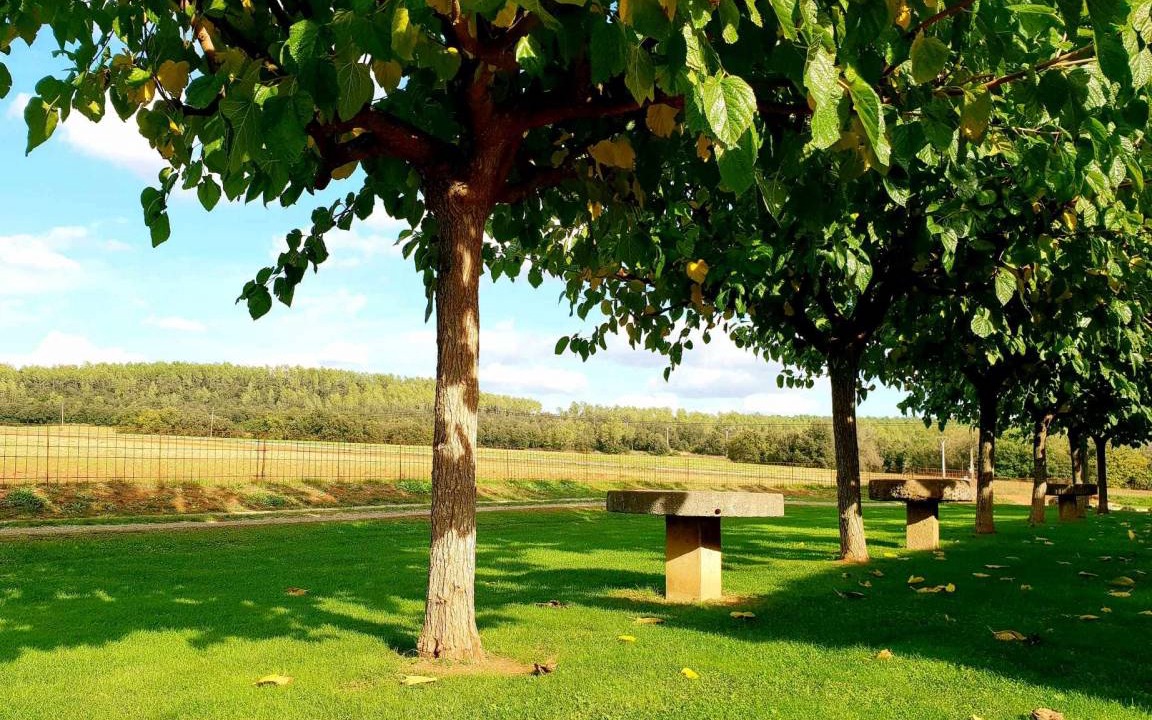 Photo of Others in Queixas