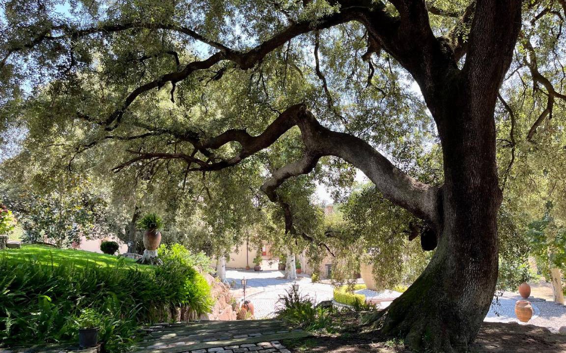 Photo of Outdoor in Bigues I Riells