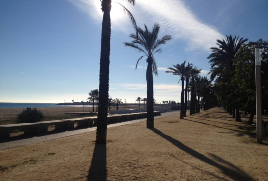 Photo of Others in Mataro