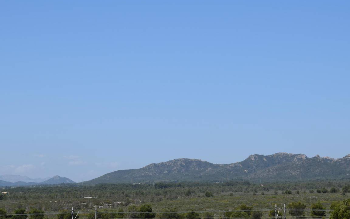 Photo of Others in L Almadrava