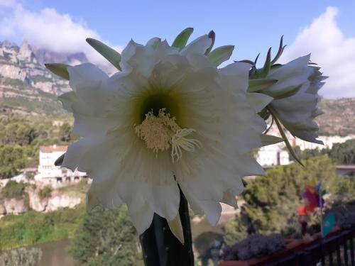 Photo of Others in Monistrol de Montserrat