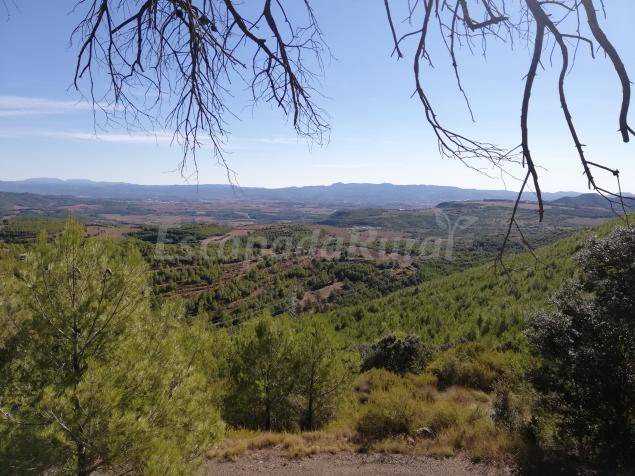 Photo of Others in Sant Mateu de Bages