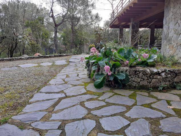 Photo of Others in Sant Pere de Vilamajor