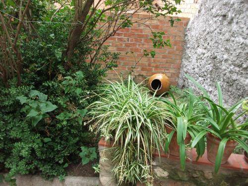 Photo of Others in El Pla del Penedes