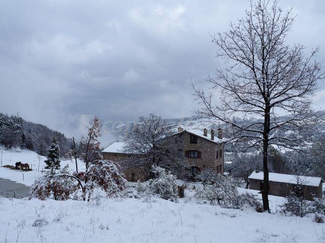 Photo of Others in Vallcebre