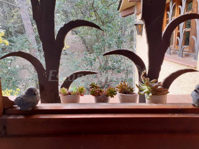 Photo of Others in Sant Pere de Vilamajor