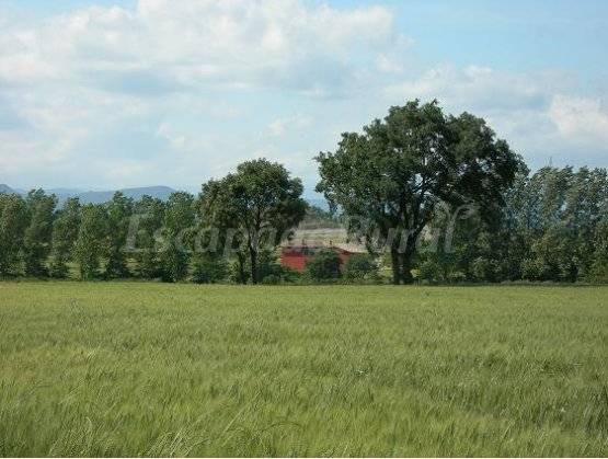 Photo of Others in Gurb