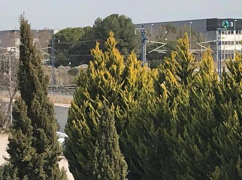 Photo of Others in La Granada