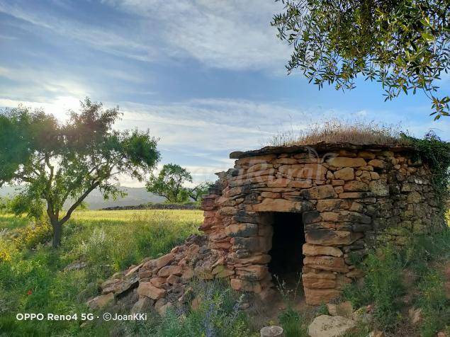 Photo of Others in Sant Mateu de Bages