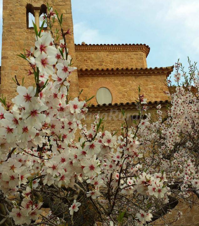 Photo of Others in Sant Mateu de Bages